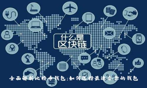 全面解析比特币钱包：如何选择最适合你的钱包