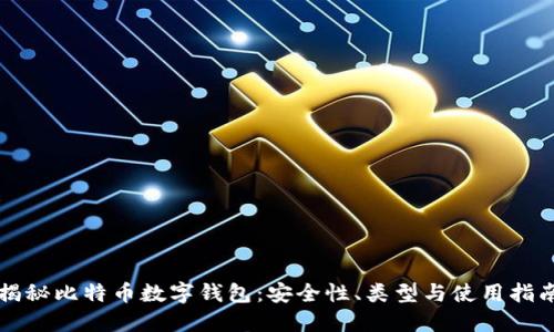 揭秘比特币数字钱包：安全性、类型与使用指南