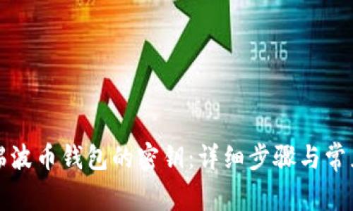 如何找回瑞波币钱包的密钥：详细步骤与常见问题解答