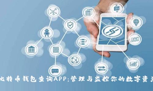比特币钱包查询APP：管理与监控你的数字资产