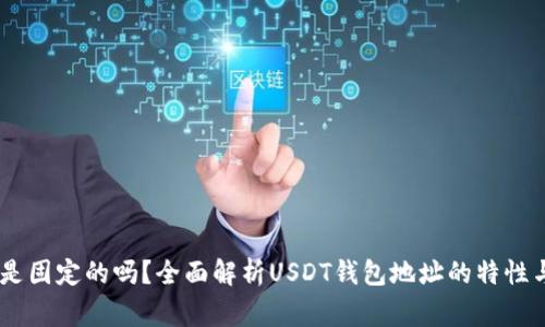 USDT钱包地址是固定的吗？全面解析USDT钱包地址的特性与使用注意事项