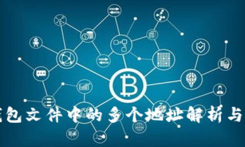 比特币钱包文件中的多个地址解析与管理技巧