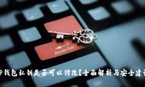 TP钱包私钥是否可以修改？全面解析与安全建议