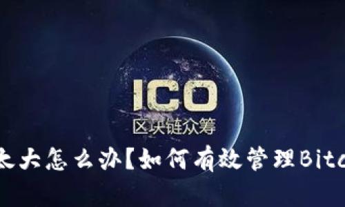 比特币钱包太大怎么办？如何有效管理Bitcoin钱包空间