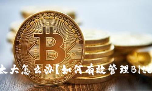 比特币钱包太大怎么办？如何有效管理Bitcoin钱包空间