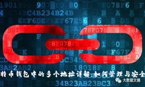 比特币钱包中的多个地址详解：如何管理与安全性