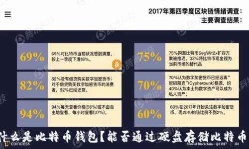  
什么是比特币钱包？能否通过硬盘存储比特币？