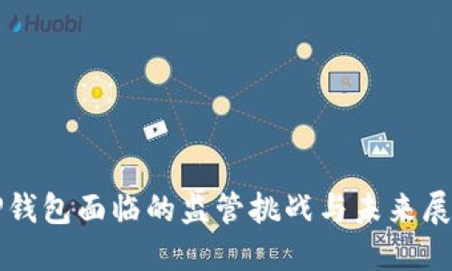TP钱包面临的监管挑战与未来展望
