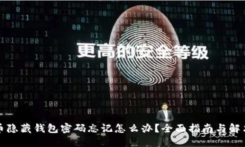 比特币隐藏钱包密码忘记怎么办？全面指南与解决方案