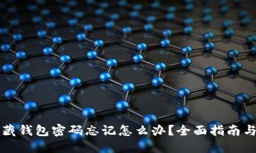 比特币隐藏钱包密码忘记怎么办？全面指南与解决方案