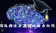 如何选择适合存储比特币