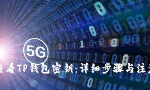 如何查看TP钱包密钥：详细步骤与注意事项