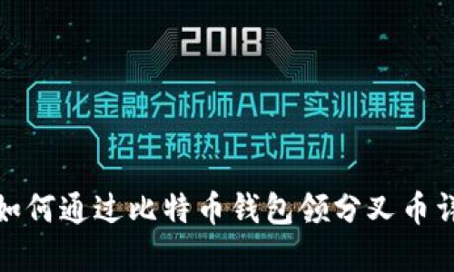 : 如何通过比特币钱包领分叉币详解