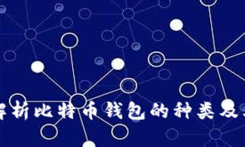 全面解析比特币钱包的种类及其特点