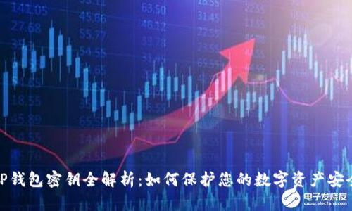 TP钱包密钥全解析：如何保护您的数字资产安全