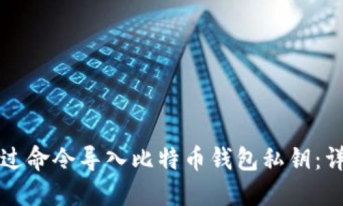如何通过命令导入比特币钱包私钥：详细指南