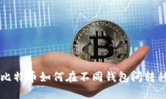 同一个比特币如何在不同