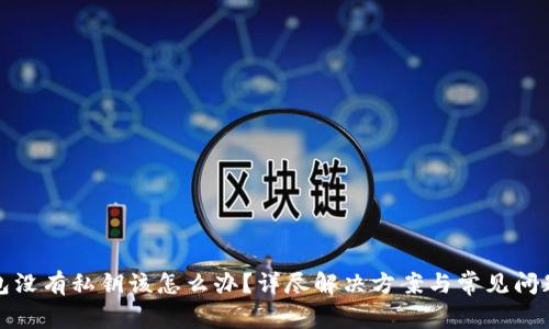 TP钱包没有私钥该怎么办？详尽解决方案与常见问题解答
