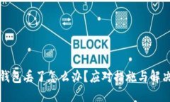 比特币硬钱包丢了怎么办