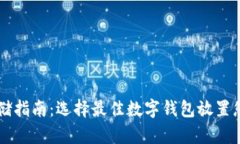 瑞波币存储指南：选择最