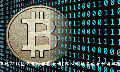 正规TP钱包下载链接安全吗？深入分析其安全性与风险