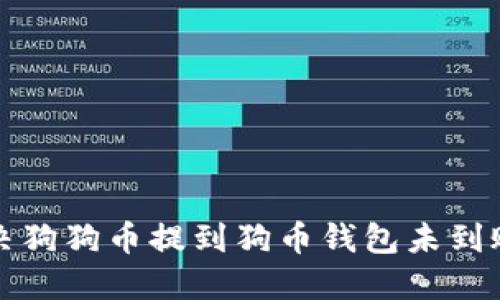 如何解决狗狗币提到狗币钱包未到账的问题