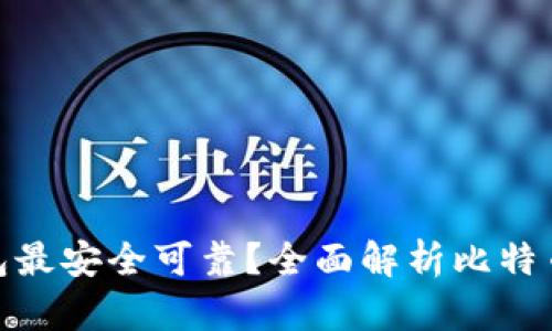 : 比特币存哪个钱包最安全可靠？全面解析比特币钱包类型与安全性