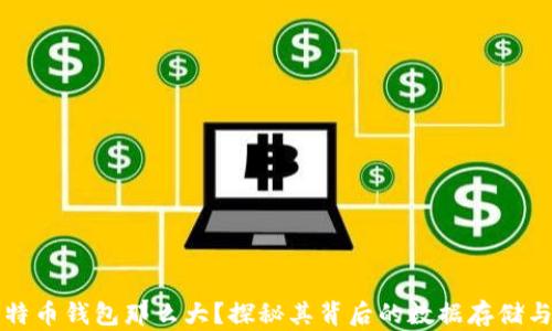 
为什么比特币钱包那么大？探秘其背后的数据存储与隐私保护