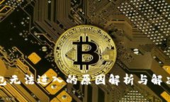 TP钱包无法进入的原因解析