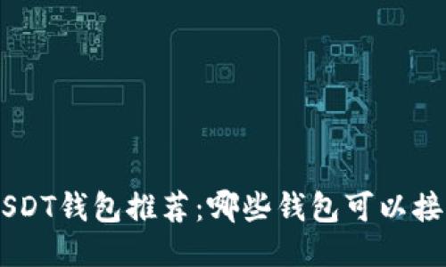 最新的USDT钱包推荐：哪些钱包可以接收USDT？