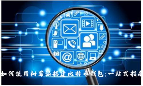 如何使用树莓派搭建比特币钱包：一站式指南