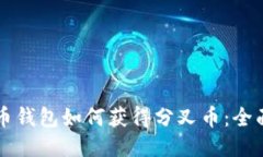 比特币钱包如何获得分叉币：全面指南