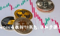 如何将Newton币提到TP钱包：详细步骤及注意事项