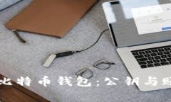 全面解析比特币钱包：公钥与账户的关系