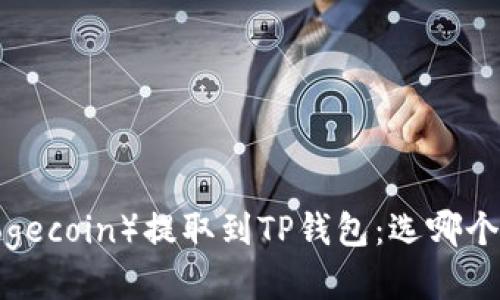 狗狗币（Dogecoin）提取到TP钱包：选哪个链最合适？