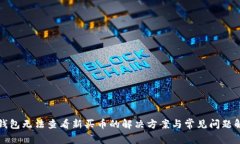 TP钱包无法查看新买币的解决方案与常见问题解析