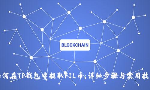 如何在TP钱包中提取FIL币：详细步骤与实用技巧