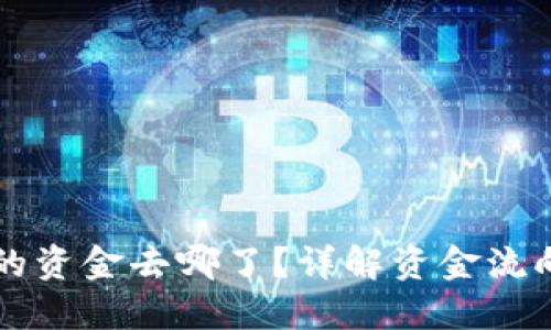 转入TP钱包的资金去哪了？详解资金流向与相关操作