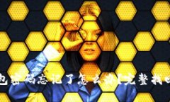 TP钱包密码忘记了怎么办？完整找回指南
