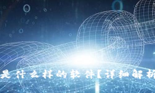 比特币钱包是什么样的软件？详细解析与选择指南