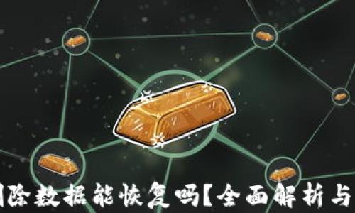
TP钱包删除数据能恢复吗？全面解析与操作指南