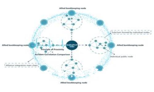 不同类型比特币钱包全面分析：选择适合你的数字资产保护方案