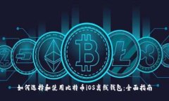如何选择和使用比特币i