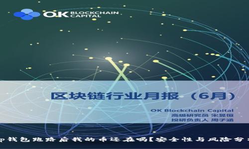 tp钱包跑路后我的币还在吗？安全性与风险分析