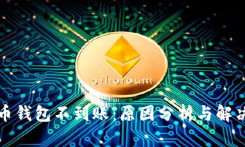 狗狗币钱包不到账：原因分析与解决方案