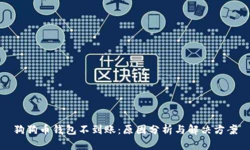 狗狗币钱包不到账：原因分析与解决方案