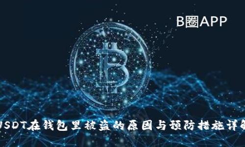 USDT在钱包里被盗的原因与预防措施详解