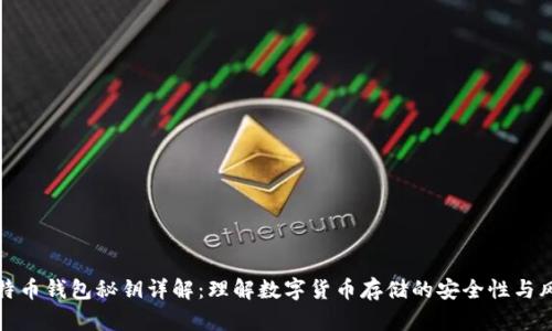 比特币钱包秘钥详解：理解数字货币存储的安全性与风险