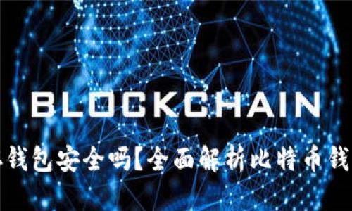 比特币保存钱包安全吗？全面解析比特币钱包的安全性