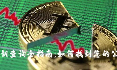 比特币钱包公钥查询全指南：如何找到您的公钥并保护资产